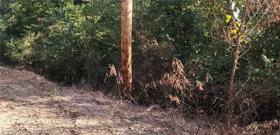 TBD Arkansas Street, Van Buren, AR 72956 - Image #2