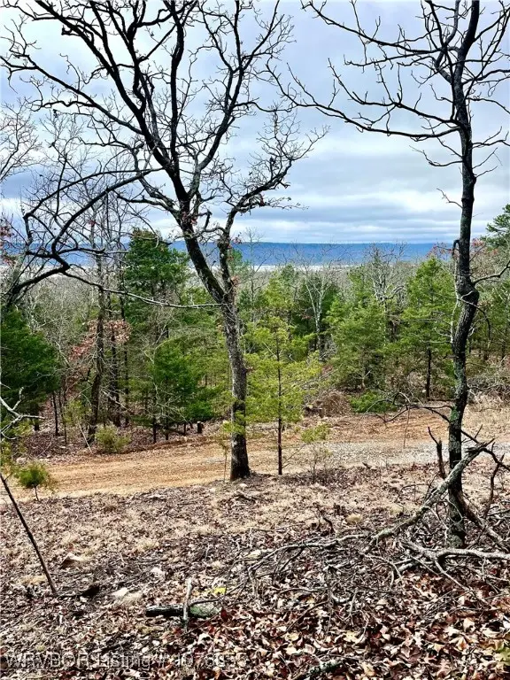 Tract 17 Wolf Mountain Rd., Clayton, OK 74536 - Image #1