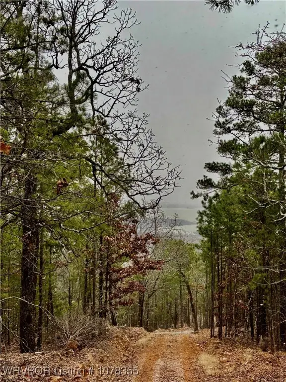 Tract 17 Wolf Mountain Rd., Clayton, OK 74536 - Image #2