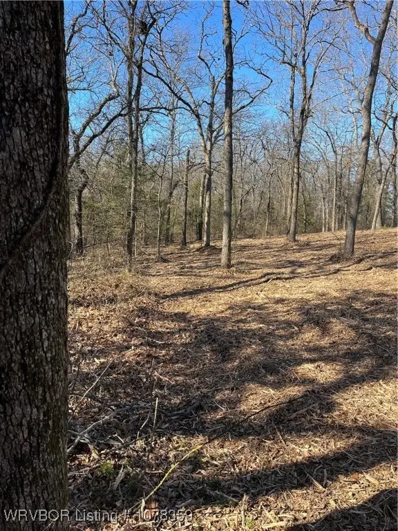 Tract 5 Ew 1430 Rd,, Konawa, OK 74849 - #2