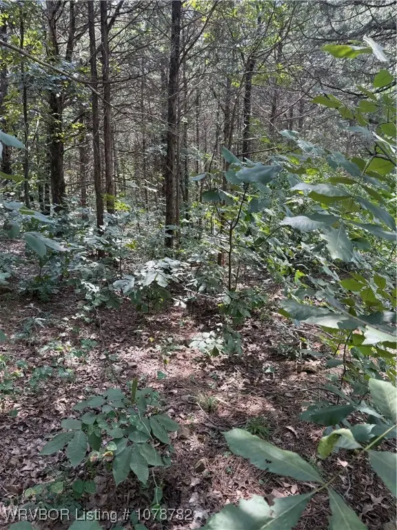 TBD Jacob Road, Poteau, OK 74953 - Image #3