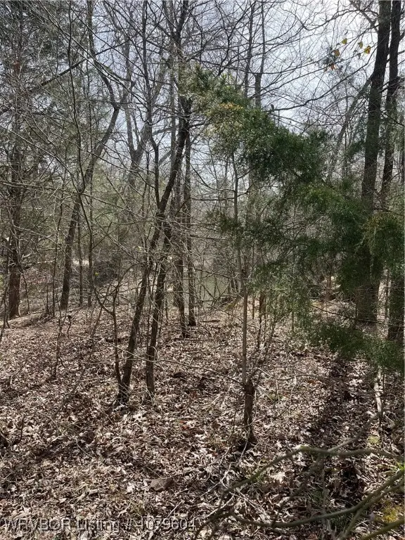 Tract 1 Highway 147, Spencerville, OK 74760 - Image #3