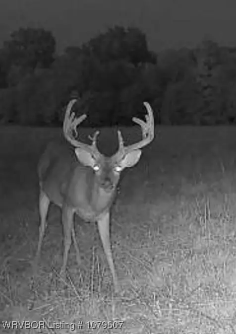 Tract 3 E 1980 Rd, Spencerville, OK 74760 - Image #1