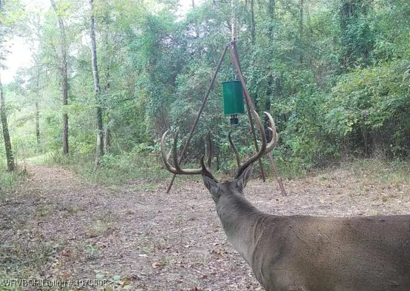 Tract 4 E 1980 Rd., Spencerville, OK 74760 - Image #2