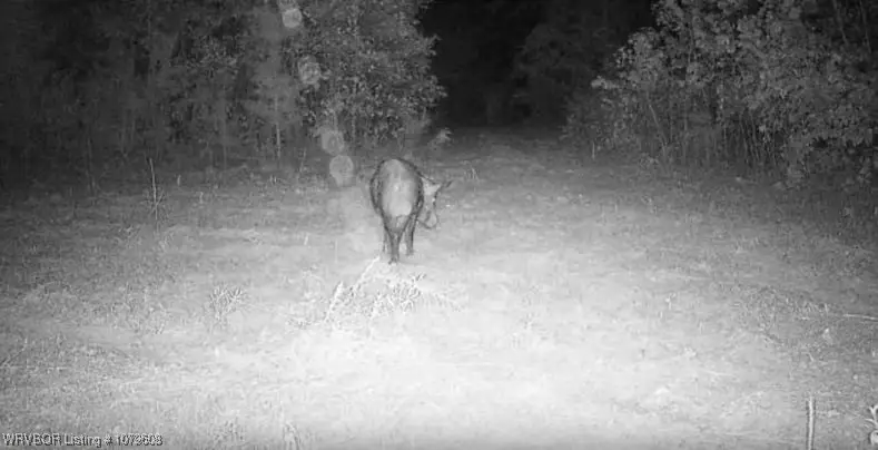 Tract 4 E 1980 Rd., Spencerville, OK 74760 - Image #3