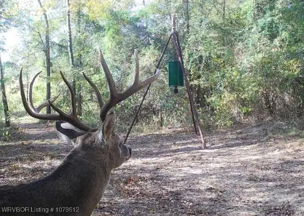 Tract 5 Rural Choctaw Co., Spencerville, OK 74760