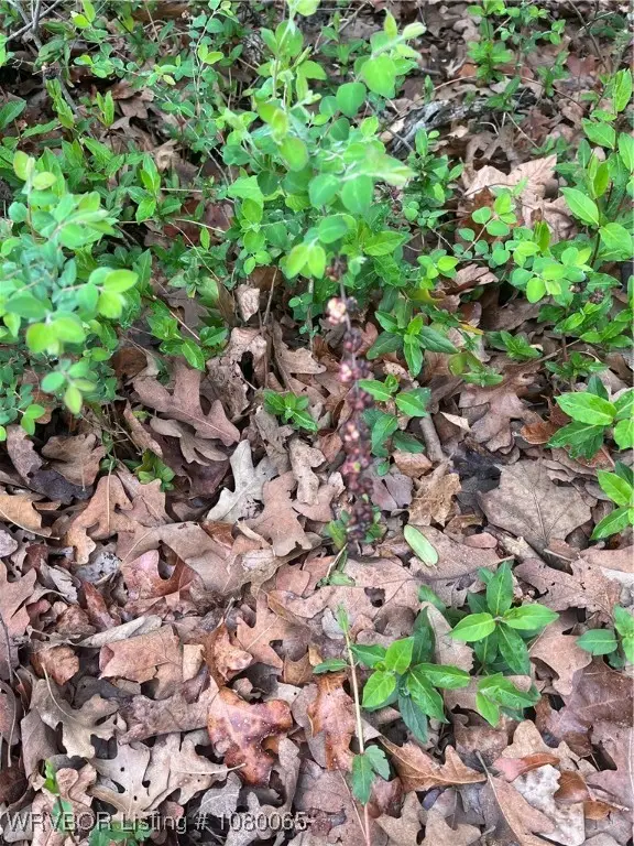 TBD S 4622 Road, Sallisaw, OK 74955 - Image #2