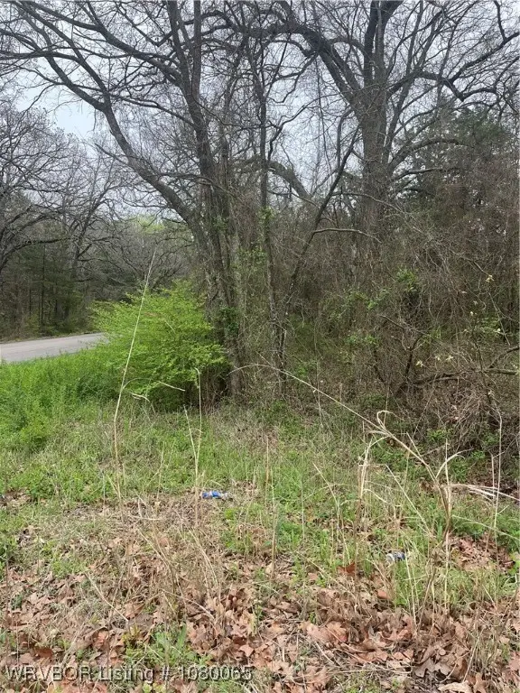 TBD S 4622 Road, Sallisaw, OK 74955 - Image #3