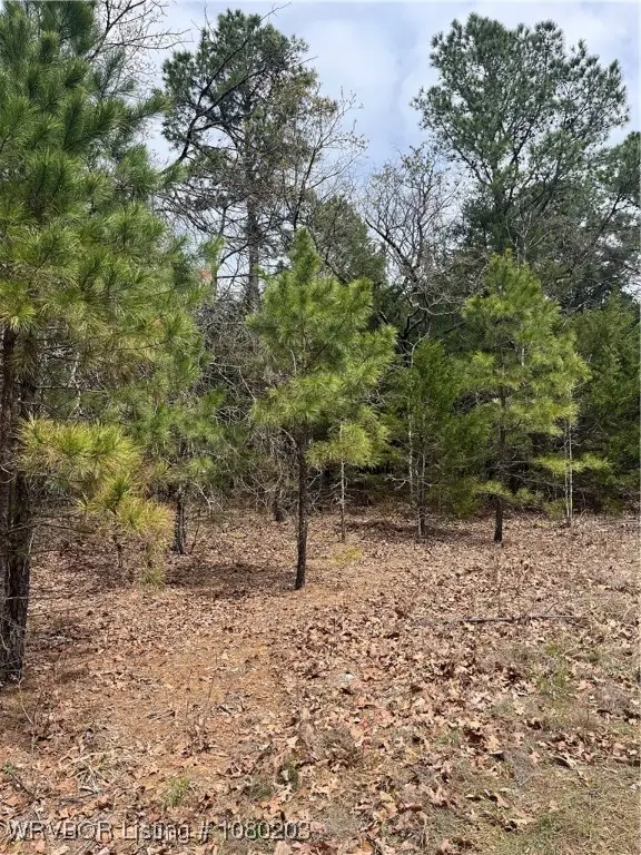 Tract 2 Station Road, Bokoshe, OK 74930 - Image #2