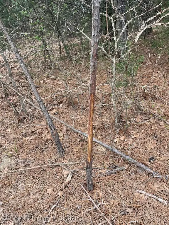 Tract 2 Station Road, Bokoshe, OK 74930 - Image #3