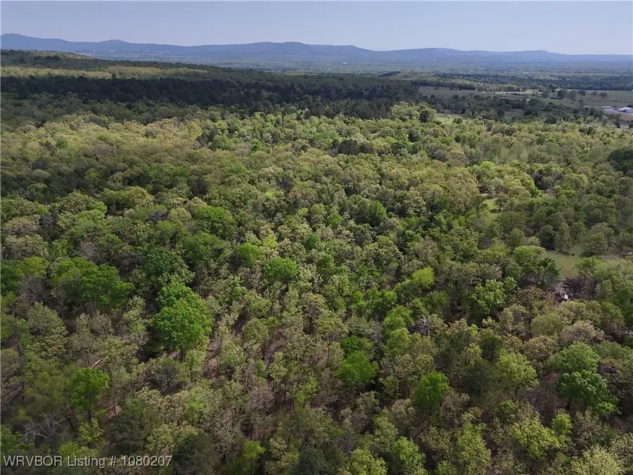 Tract 6 Station Road, Bokoshe, OK 74930 - Image #3