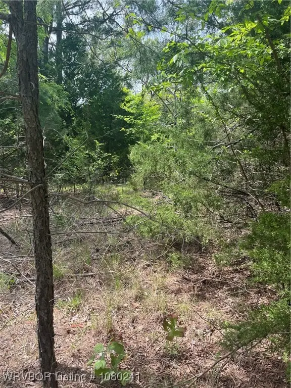 Tract 7 Station Road Road, Bokoshe, OK 74930 - Image #3