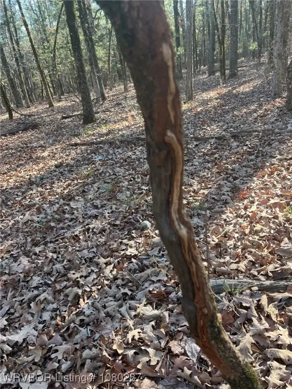 TBD Johns Valley Rd., Moyers, OK 74557 - Image #1