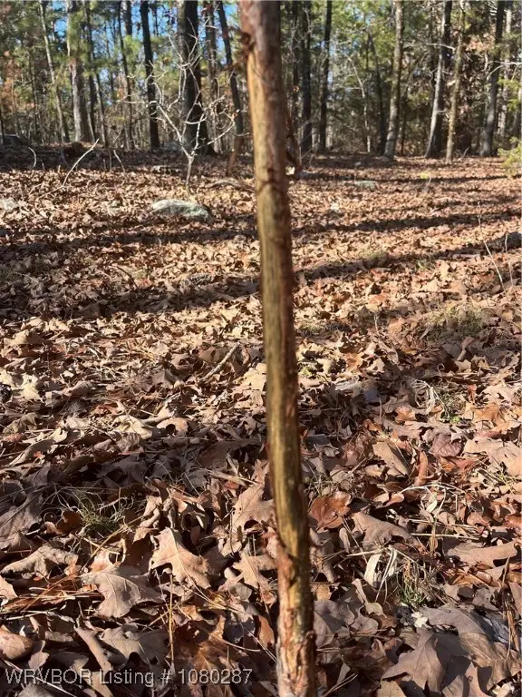 TBD Johns Valley Rd., Moyers, OK 74557 - Image #2