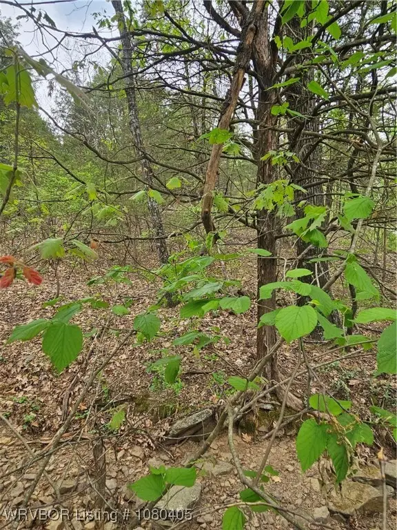 TBD Hwy 23, Booneville, AR 72927 - Image #3