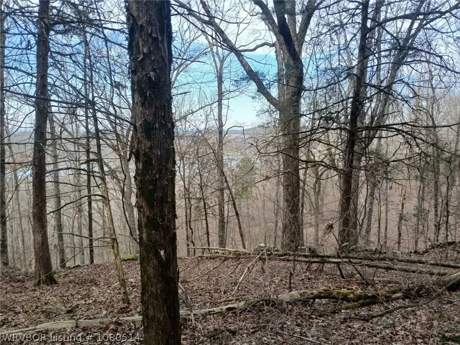 0 Citadel Bluff, Cecil, AR 72930 - #2