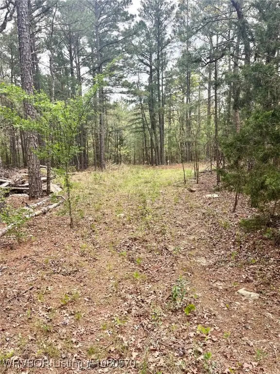 TBD SW 184th Road, Wilburton, OK 74578 - Image #1