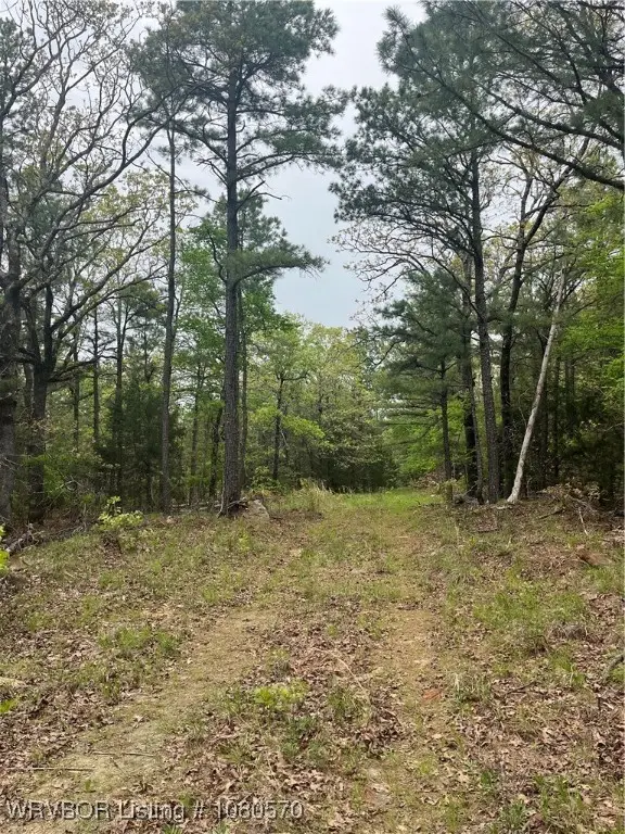 TBD SW 184th Road, Wilburton, OK 74578 - Image #2