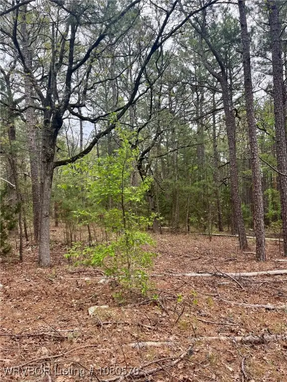 TBD SW 184th Road, Wilburton, OK 74578 - Image #3