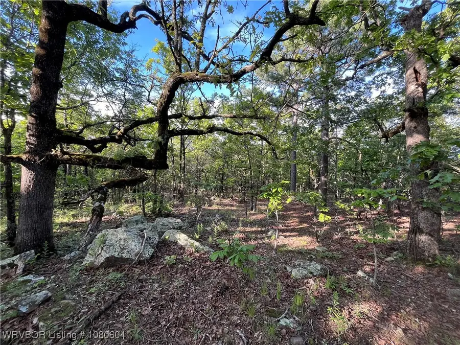 9604 NE 1134 Avenue, Red Oak, OK 74563 - Image #3