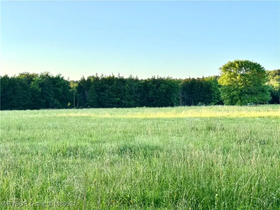 Tract 14 Merle Branch Lane, Heavener, OK 74937 - Image #3