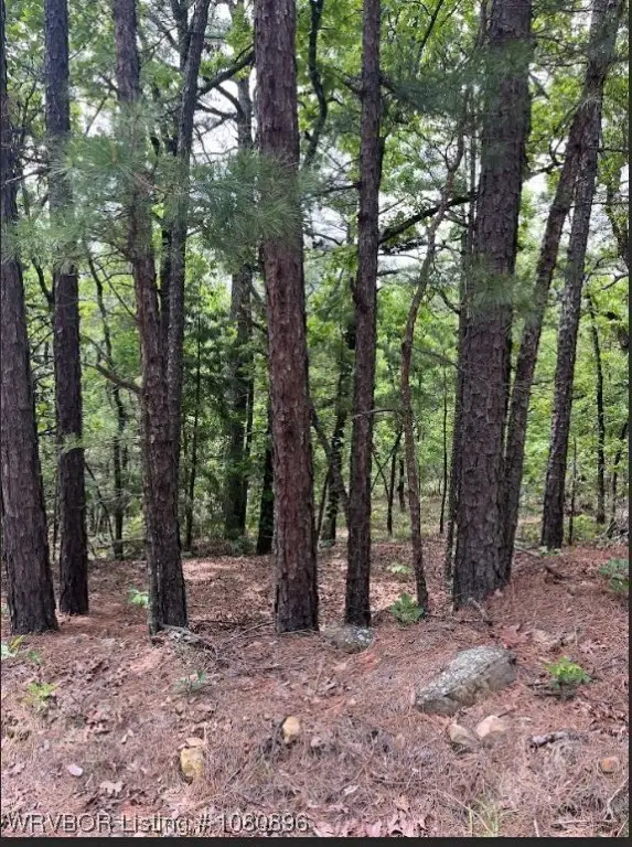 TBD Rural Latimer County, Red Oak, OK 74563 - Image #1