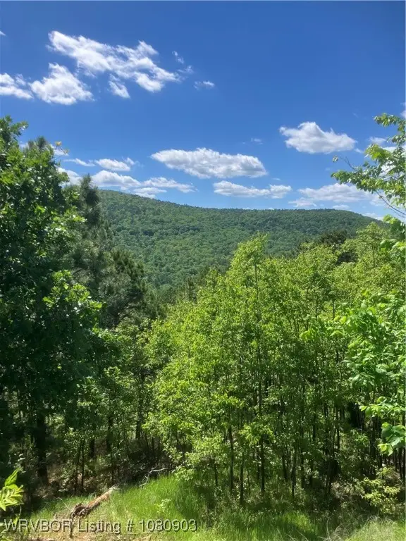 TBD Hwy 82, McCurtain, OK 74944 - Image #1