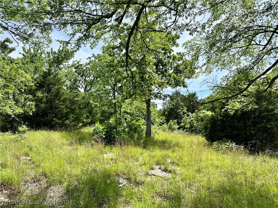 Tract 3 Dozer Mountain Road, Eufaula, OK 74432 - Image #2