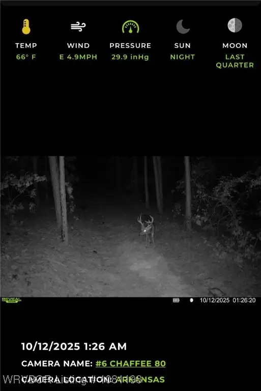 01 Hamilton Hill Road, Booneville, AR 72927 - Image #1