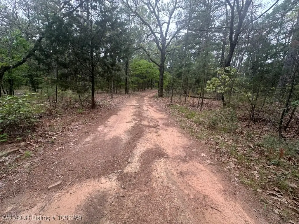 UNIT#263B Kiamichi Wilderness Road #63, Antlers, OK 74523 - Image #1