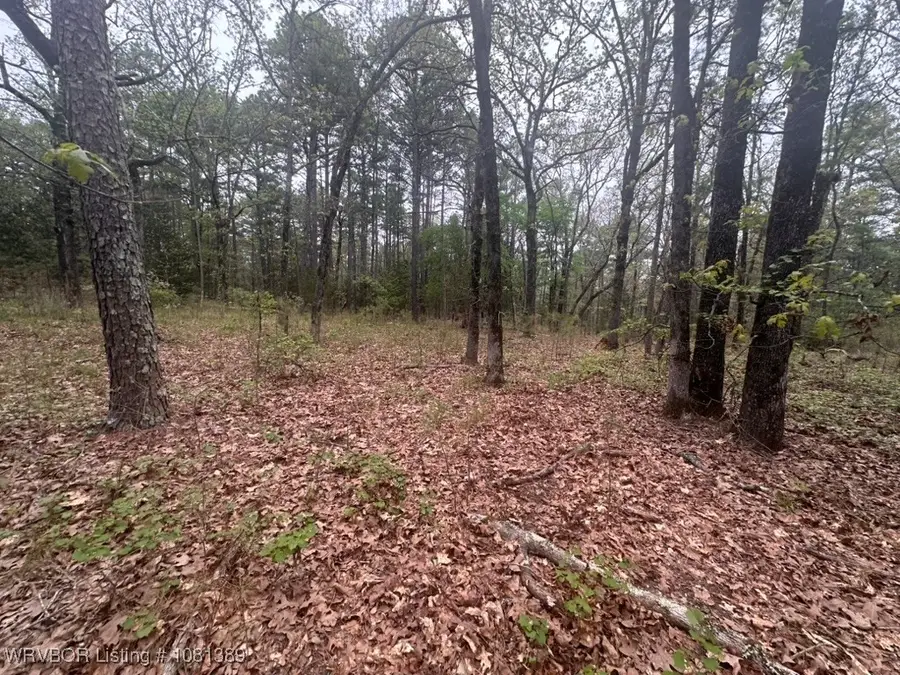 UNIT#263B Kiamichi Wilderness Road #63, Antlers, OK 74523 - Image #2