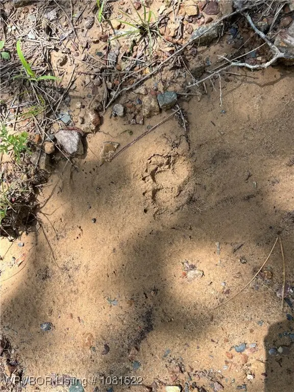 Tract 4 K Trail, Talihina, OK 74571 - Image #2