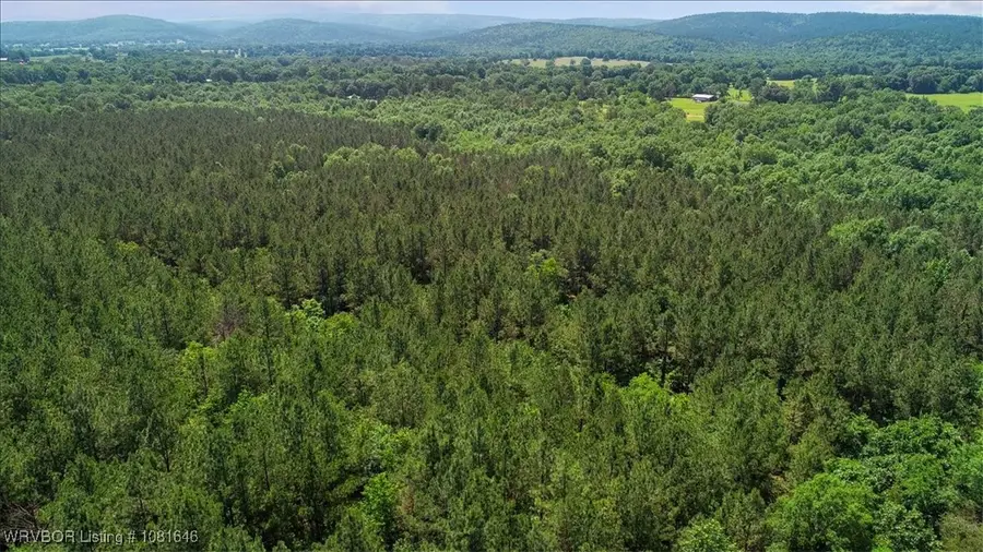 LOT 2 Walker Mountain Road, Heavener, OK 74937 - Image #2