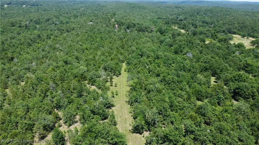 TBD Webb Trail, Rattan, OK 74562 - Image #2