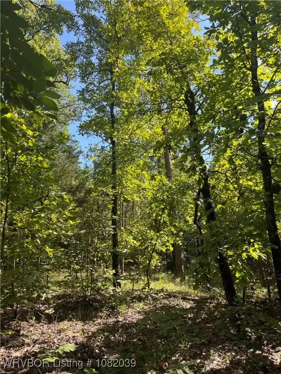 Tract 2 SE 1083 Road, Red Oak, OK 74563 - Image #1