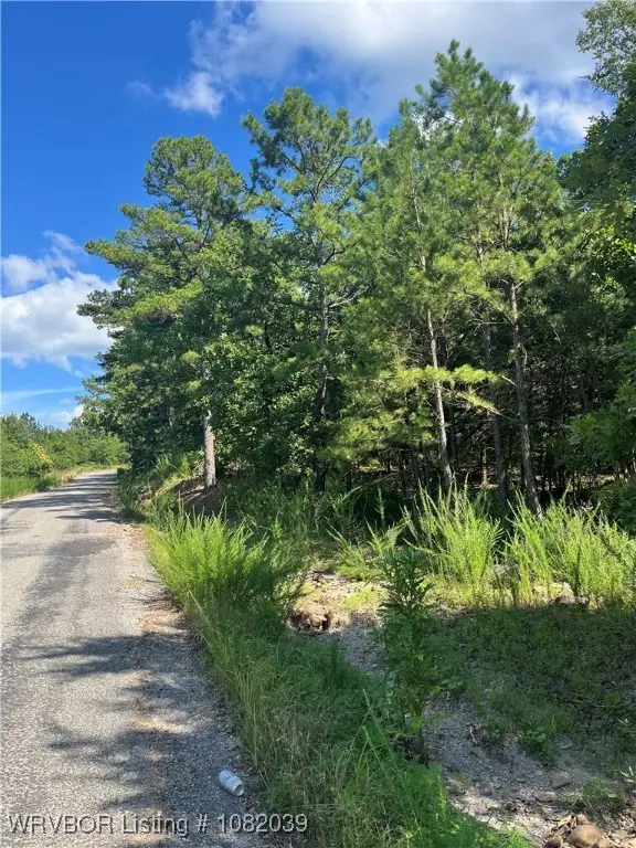 Tract 2 SE 1083 Road, Red Oak, OK 74563 - Image #3