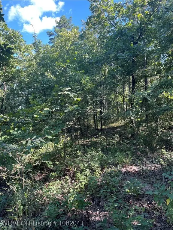 Tract 4 SE 1083 Rd Avenue, Red Oak, OK 74563 - Image #2