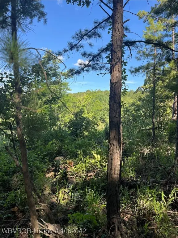 Tract 5 SE 1083 Rd Ave, Red Oak, OK 74563 - Image #1