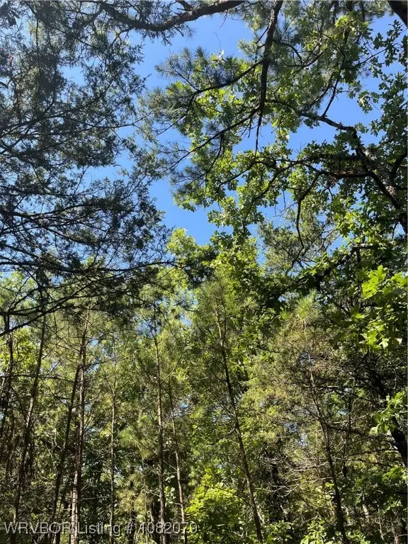 Tract 6 Se 1083rd Avenue, Red Oak, OK 74563 - Image #1