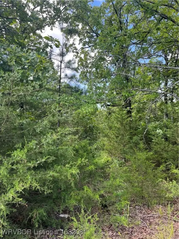 Tract 8 SE 1083rd Ave, Red Oak, OK 74563 - Image #2