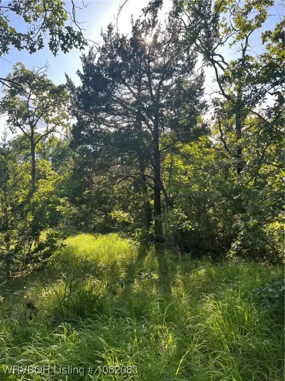 Tract 9B SE 1083rd Avenue, Red Oak, OK 74563 - Image #1