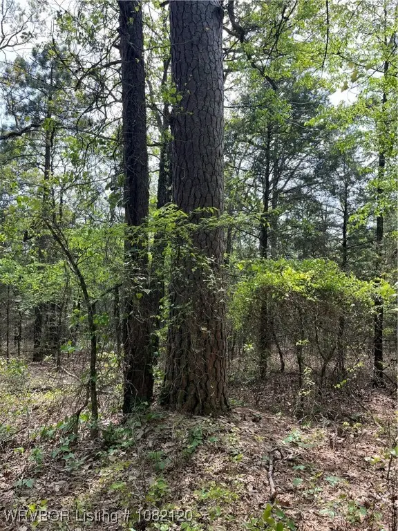 TBD Station Road, Bokoshe, OK 74