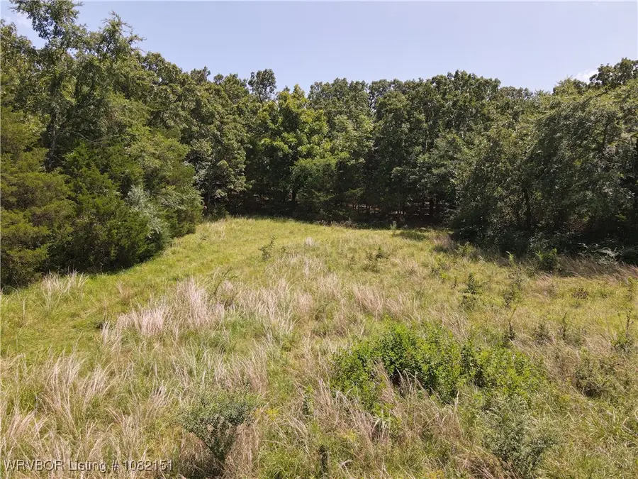 513 Park Avenue, Mansfield, AR 72944 - Image #3