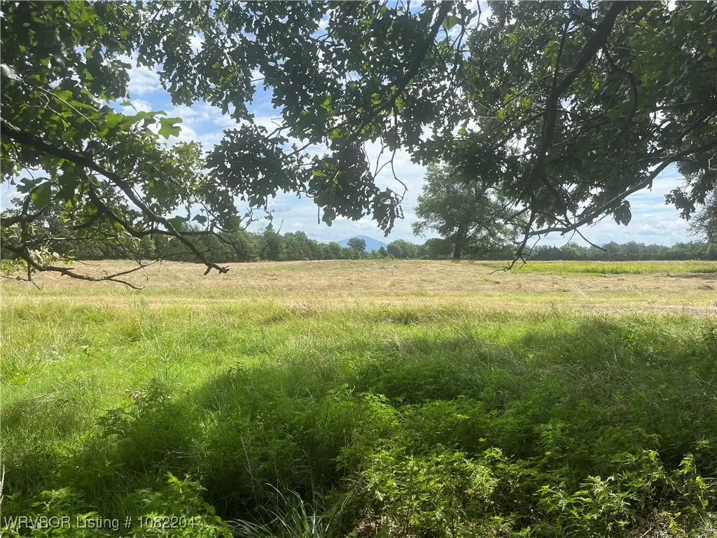 Tract 20 Bean Patch Loop, Howe, OK 74940 - Image #1