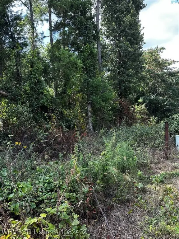TBD Rudy Road, Van Buren, AR 72956 - Image #2