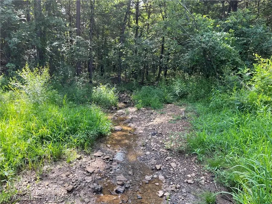 0089 Tract 8 & 9 Goats Bluff, Wister, OK 74966 - Image #2