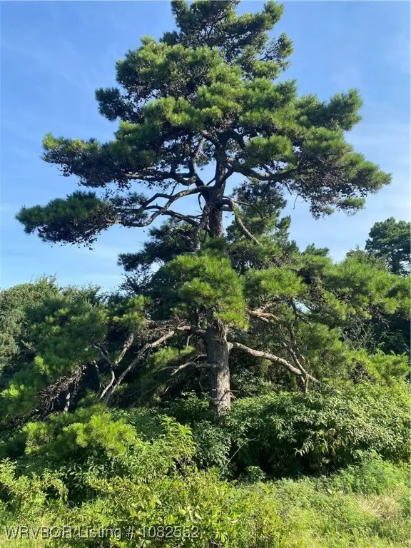 Tract 4 E1250 Road, Whitefield, OK 74472 - Image #3