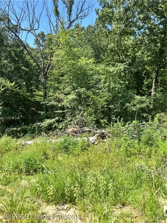 TBD Tbd, Spiro, OK 74959 - Image #3