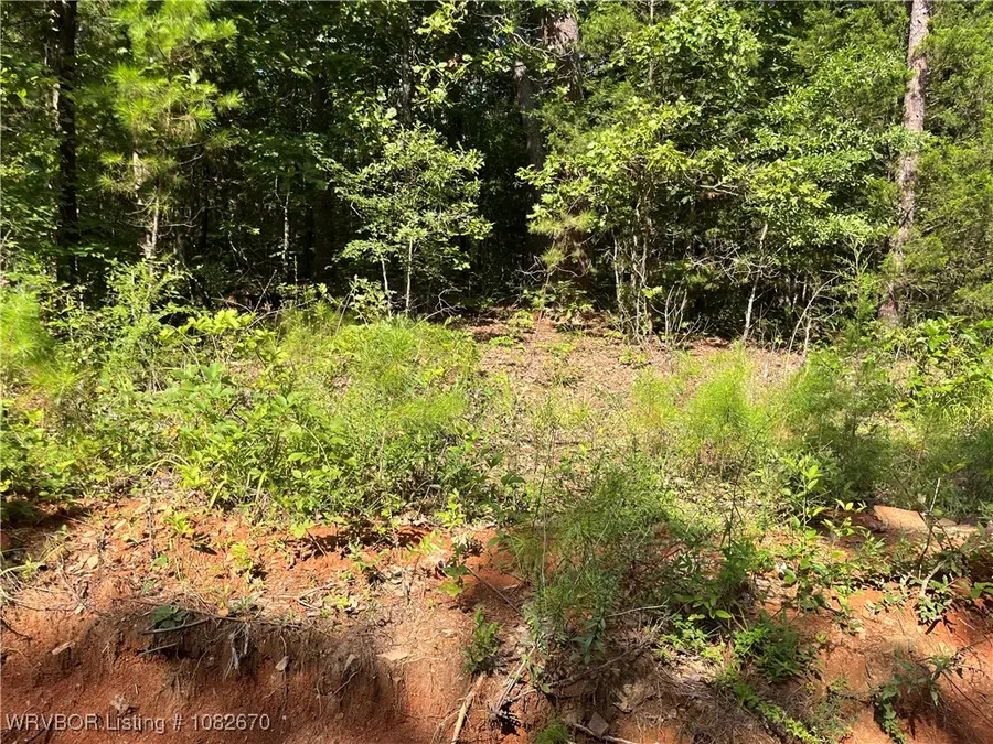 0005 Goats Bluff, Wister, OK 74966 - Image #3