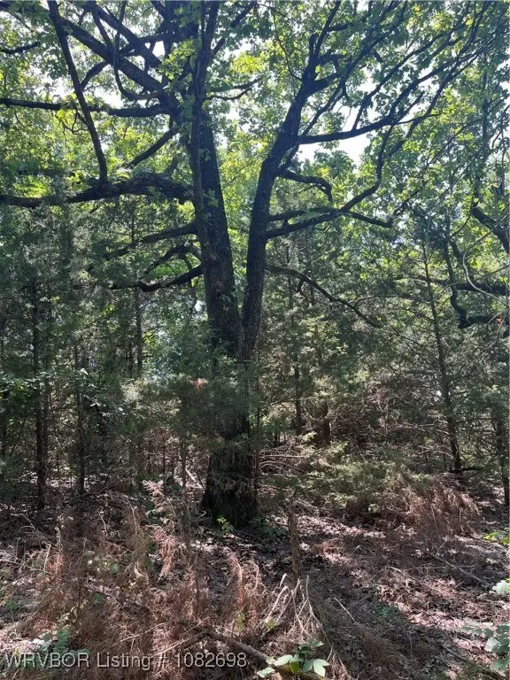 TBD E 233 Road, Webbers Falls, OK 74470 - Image #2
